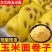 东北纯玉米面新鲜现磨现发10斤批发包邮