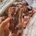 满肉羊脖骨