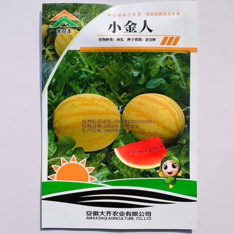 小金人早熟中型西瓜种子耐低温弱光瓤红高糖黄皮西瓜种子