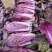 寿光紫白菜货源充足价格实惠产地直发欢迎咨询