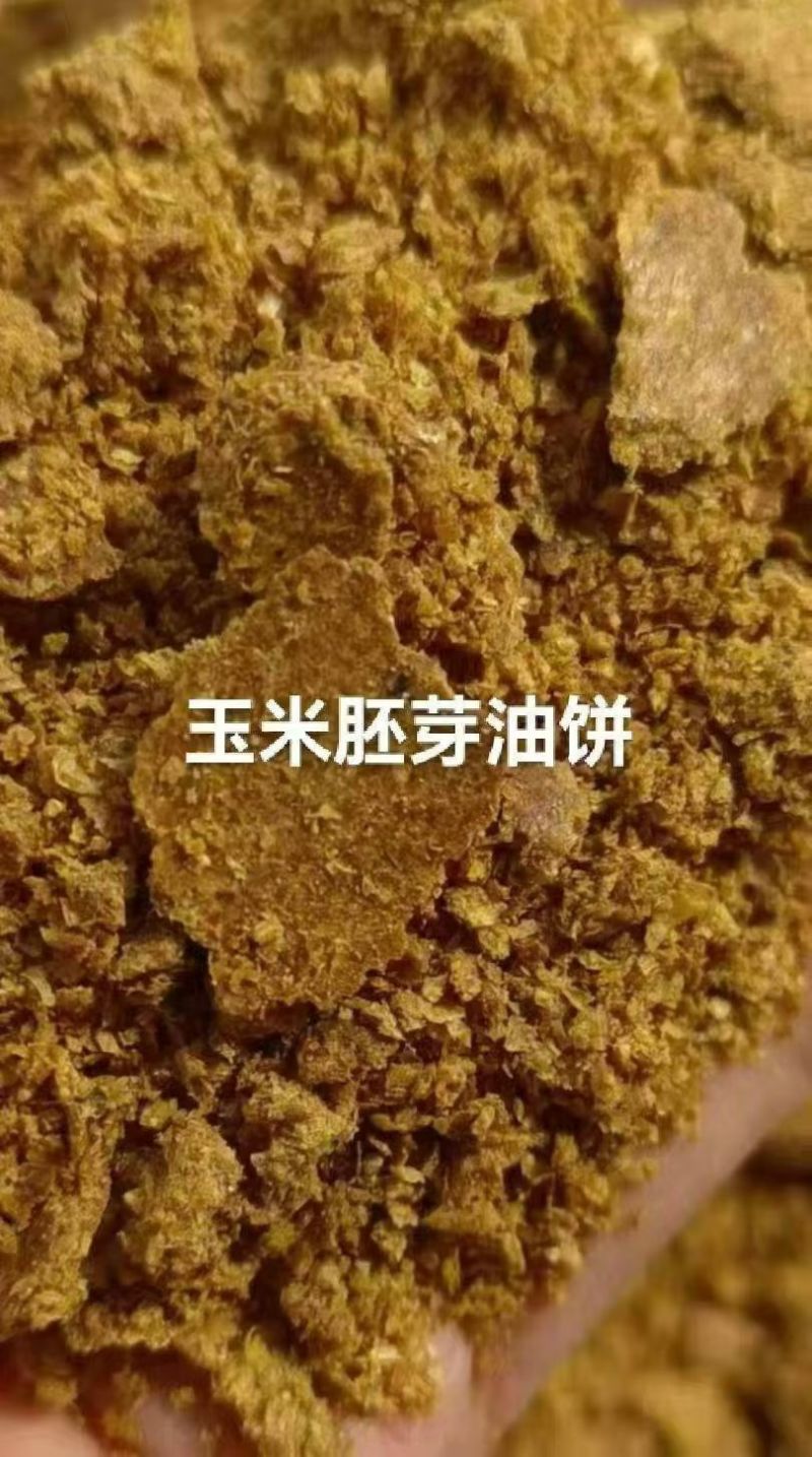 玉米胚芽油饼