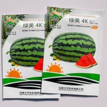 绿美4k西瓜种子早中熟大红瓤含糖量高多汁皮薄礼品西瓜种子