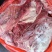 牛腩排腩