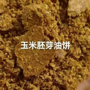 玉米胚芽油饼