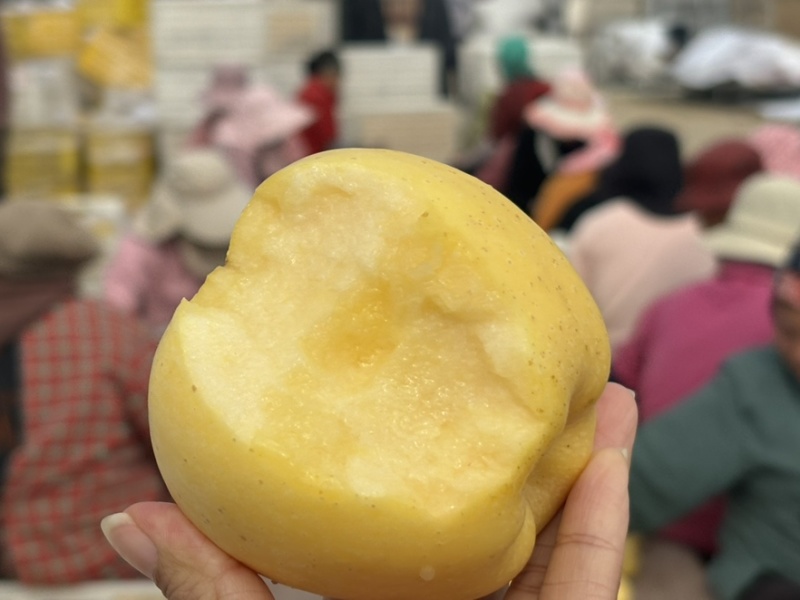 维纳斯苹果脆甜可口，价格优惠，品质保证，商超一件代发