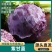 【寿光紫甘蓝】产地直发质量保证价格实惠代发全国