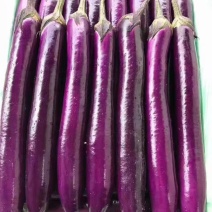 茄子