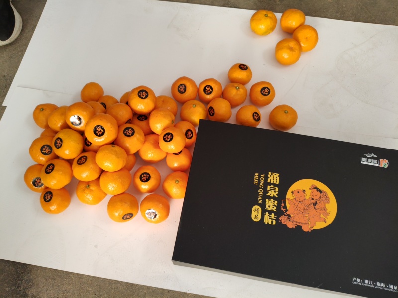 涌泉蜜橘