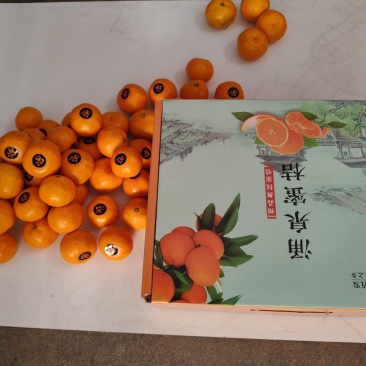 涌泉蜜橘