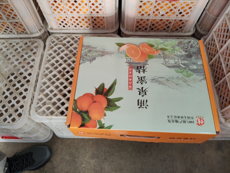 涌泉蜜橘