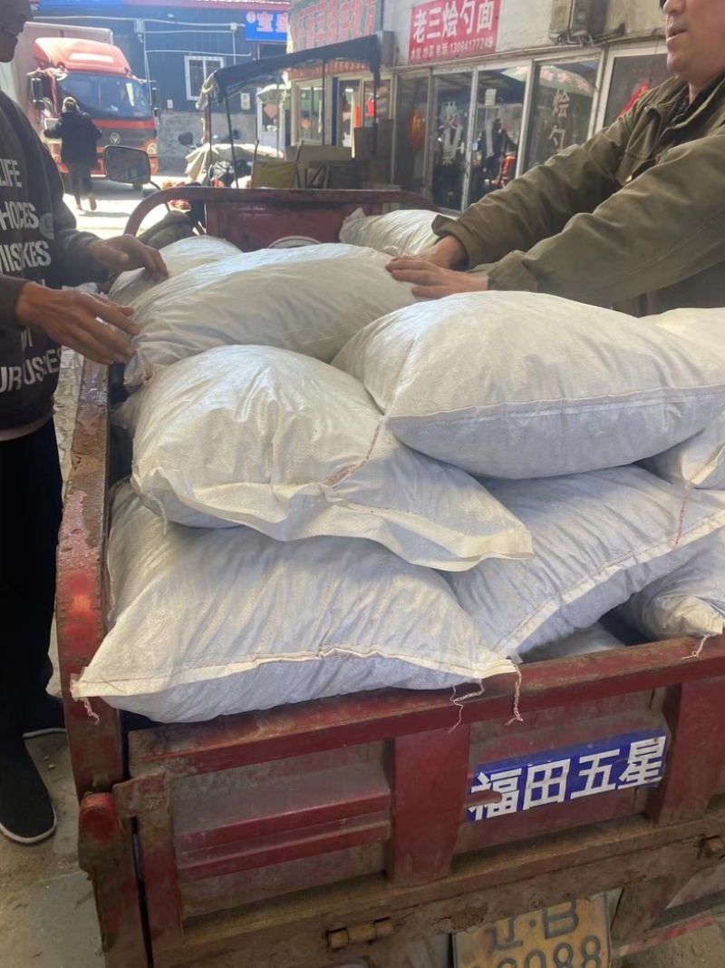 正宗五香水煮花生，东北二十年老店