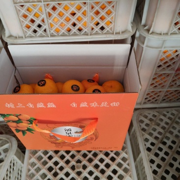涌泉蜜橘精品果10斤箱45一箱不包含运输