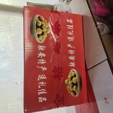 融安脆蜜金桔