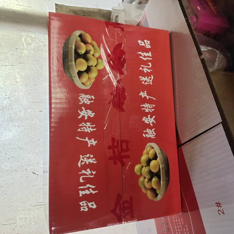 融安脆蜜金桔