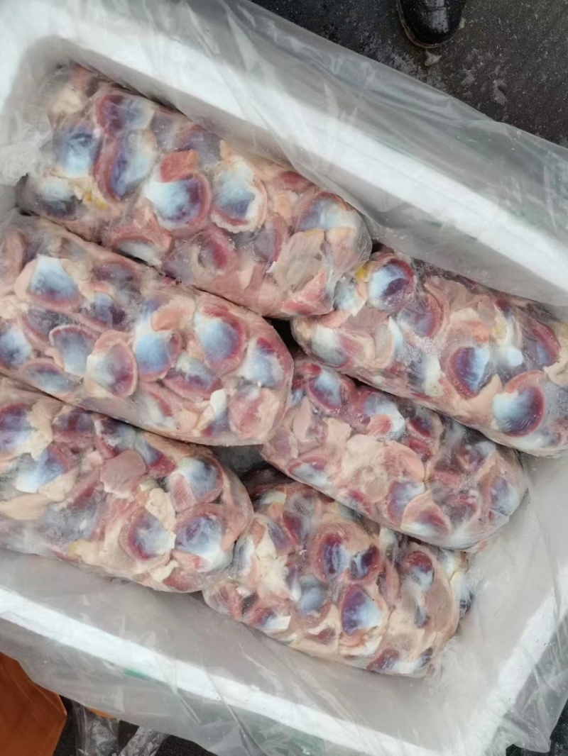 广东黑棕鹅