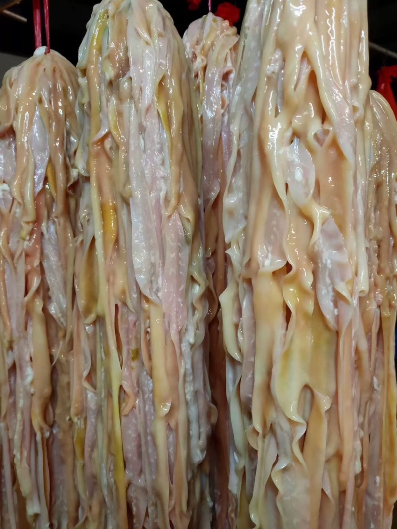 广东黑棕鹅
