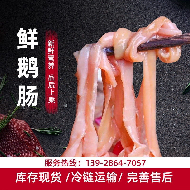 广东黑棕鹅