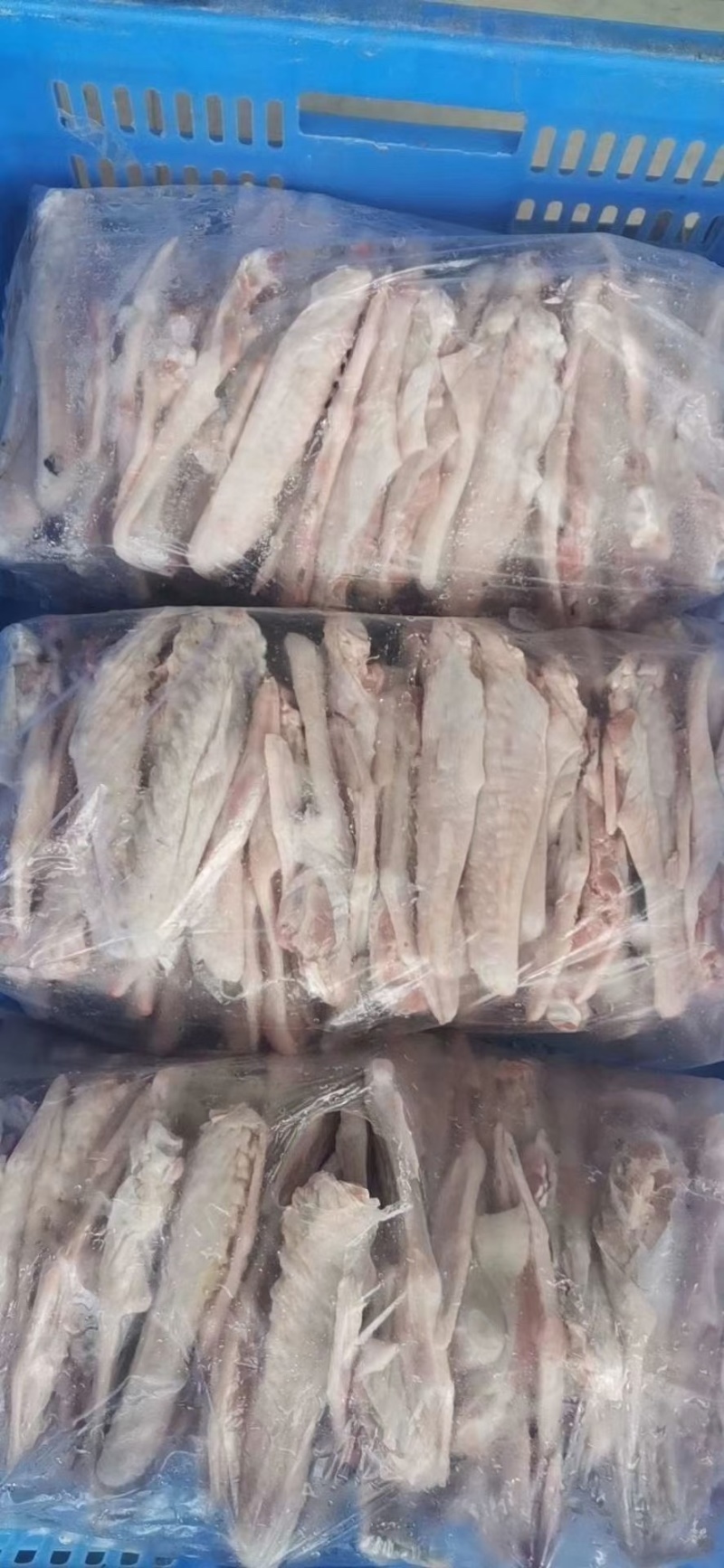 广东黑棕鹅