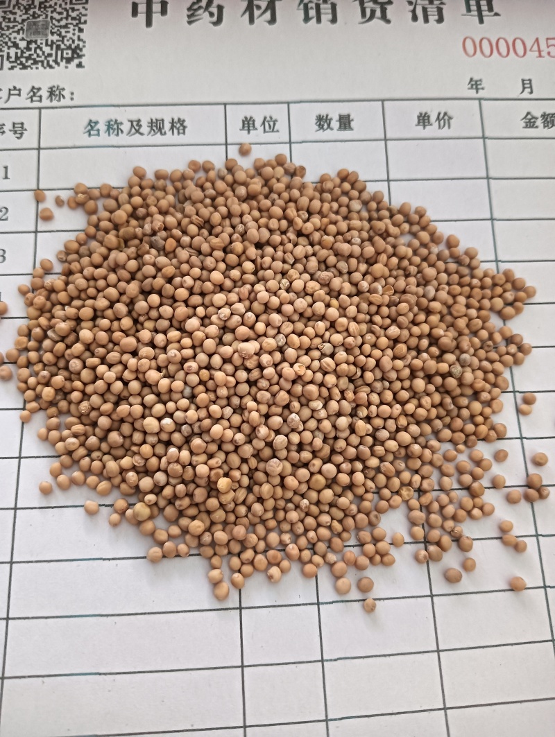 白芥子白芥籽选货颗粒饱满实物实拍量大优惠