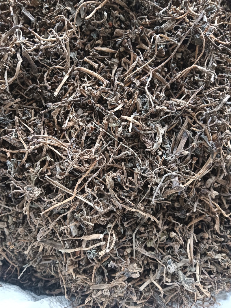 马齿苋马蜂菜实物实拍量大优惠