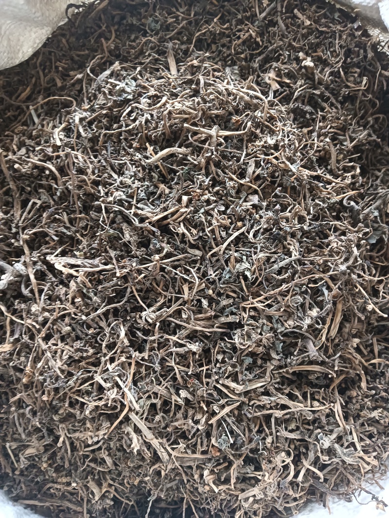 马齿苋马蜂菜实物实拍量大优惠