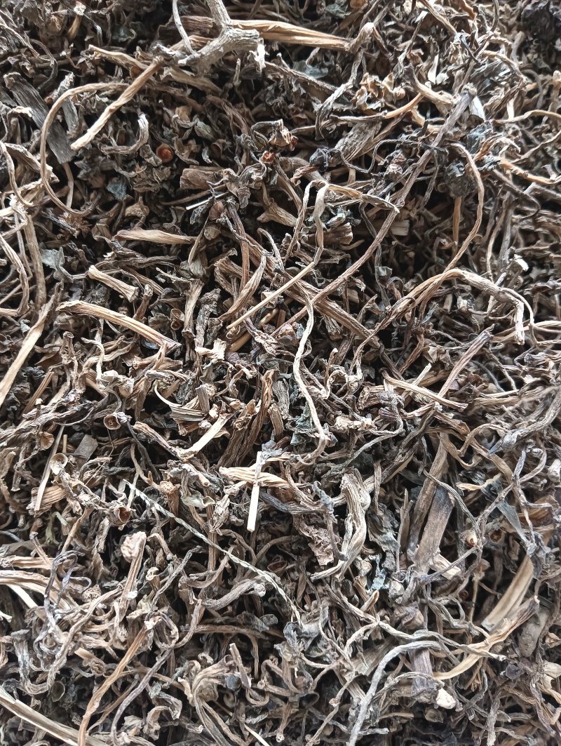 马齿苋马蜂菜实物实拍量大优惠