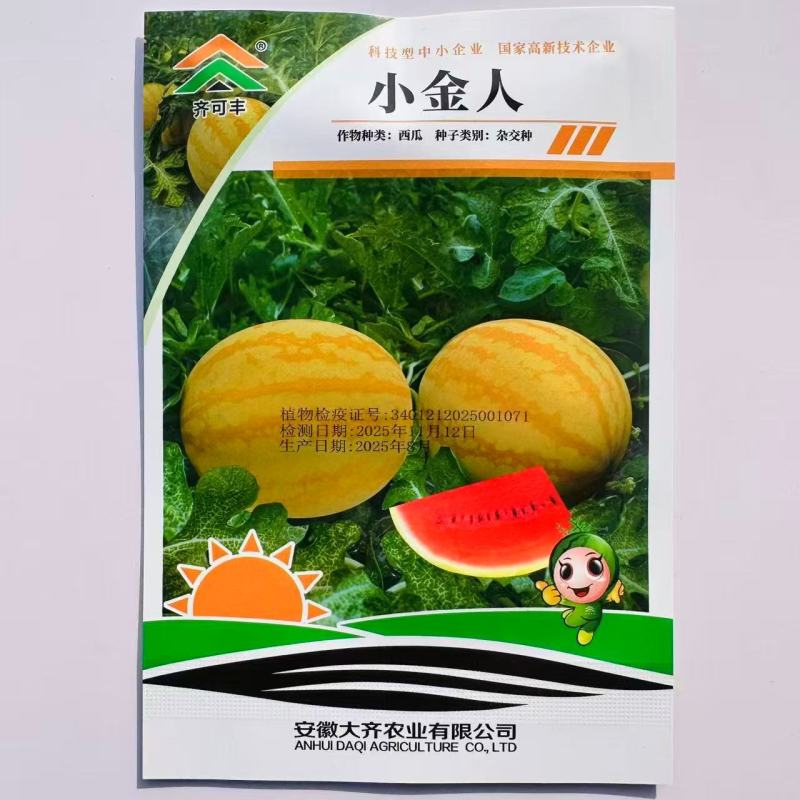 小金人早熟中型西瓜种子耐低温弱光瓤红高糖黄皮西瓜种子