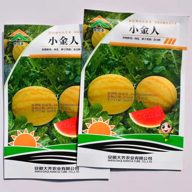 小金人早熟中型西瓜种子耐低温弱光瓤红高糖黄皮西瓜种子