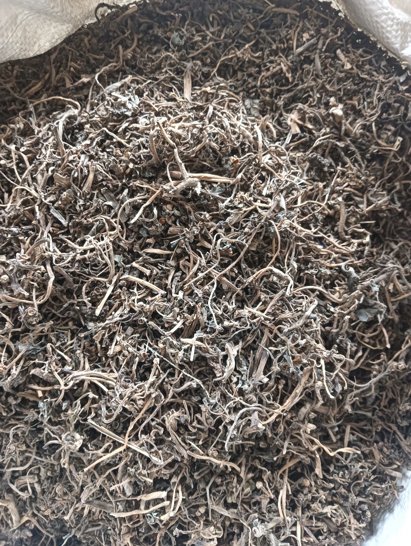 马齿苋马蜂菜实物实拍量大优惠