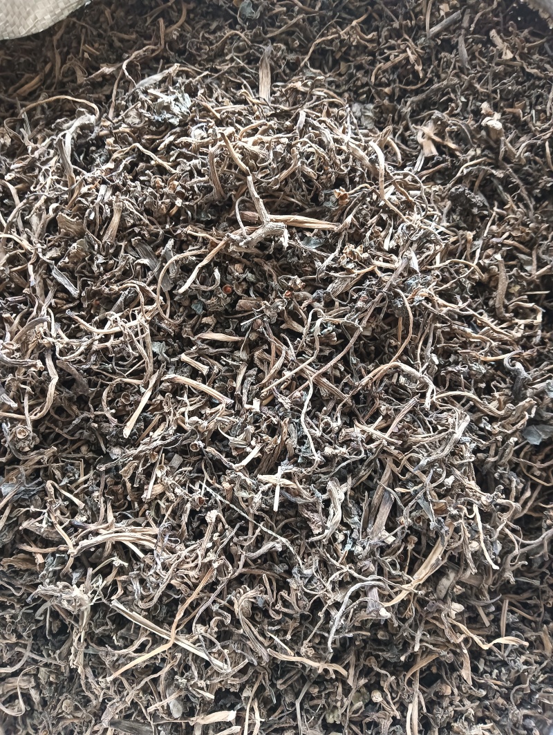 马齿苋马蜂菜实物实拍量大优惠