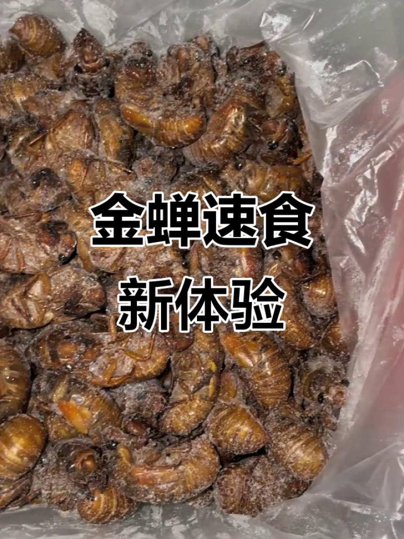 蝉蛹大量现货，对接电商各大，多多团购一件代发