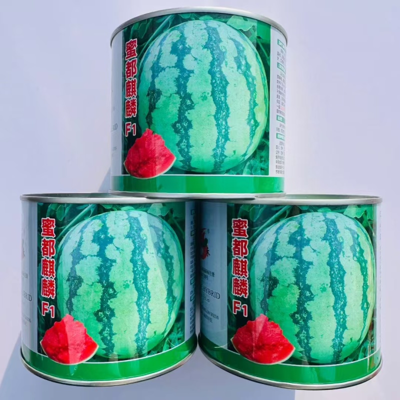 卡其蜜都麒麟西瓜种子早熟皮薄瓤色粉红外形美观西瓜种子