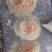 2025花生壳粉过筛除尘工厂直销质量有保障