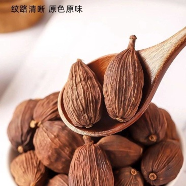 【包邮】草果无硫厨房卤肉炖肉香料卤料煲汤