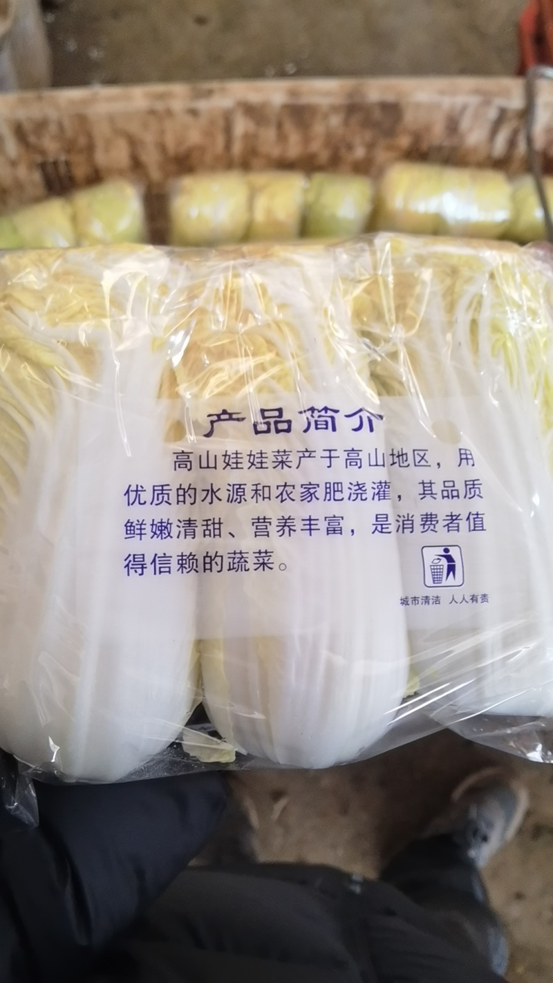 云南高山娃娃菜