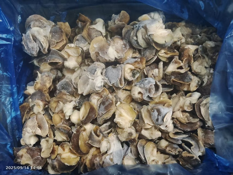 香螺肉玉螺肉去尾，干冰冷冻，一件净重20斤