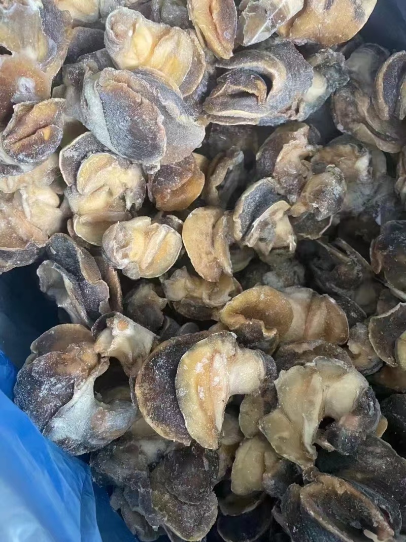香螺肉玉螺肉去尾，干冰冷冻，一件净重20斤