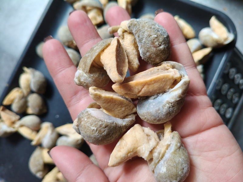 假鲍鱼老婆脚捞汁麻辣专用，干冰冷冻