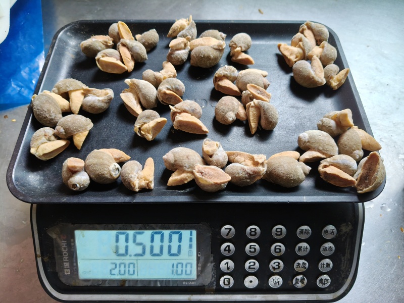 假鲍鱼老婆脚捞汁麻辣专用，干冰冷冻