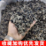 黑木耳东北特产量大批发秋木耳