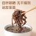 精选头茬白背木耳丝干货商用特级木耳丝电商螺狮粉专用