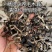 精选头茬白背木耳丝干货商用特级木耳丝电商螺狮粉专用