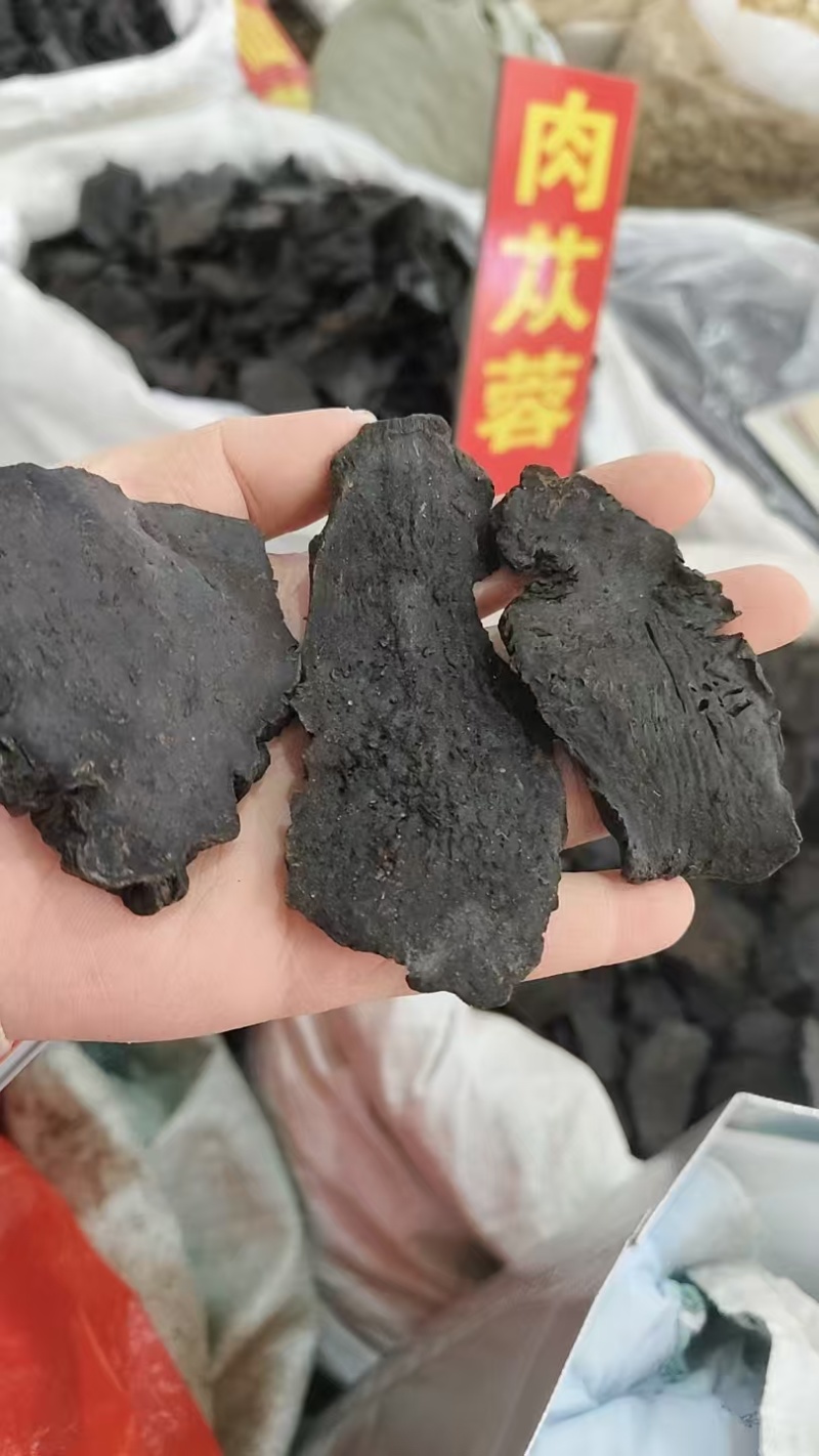 肉苁蓉，软质肉苁蓉，肉苁蓉片，各种规格批发零售