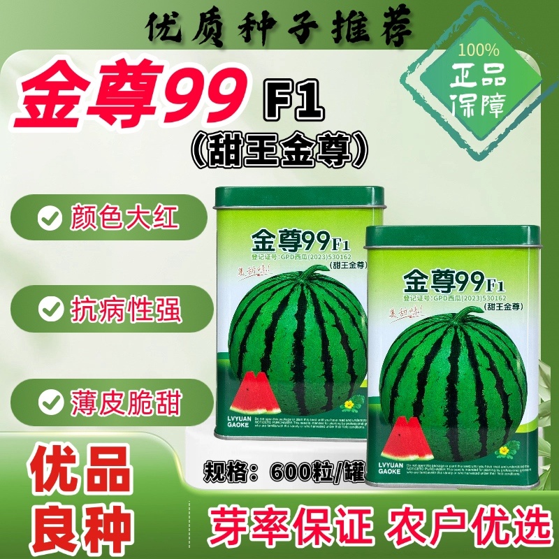 金尊99西瓜品种甜王，大果红瓤种子