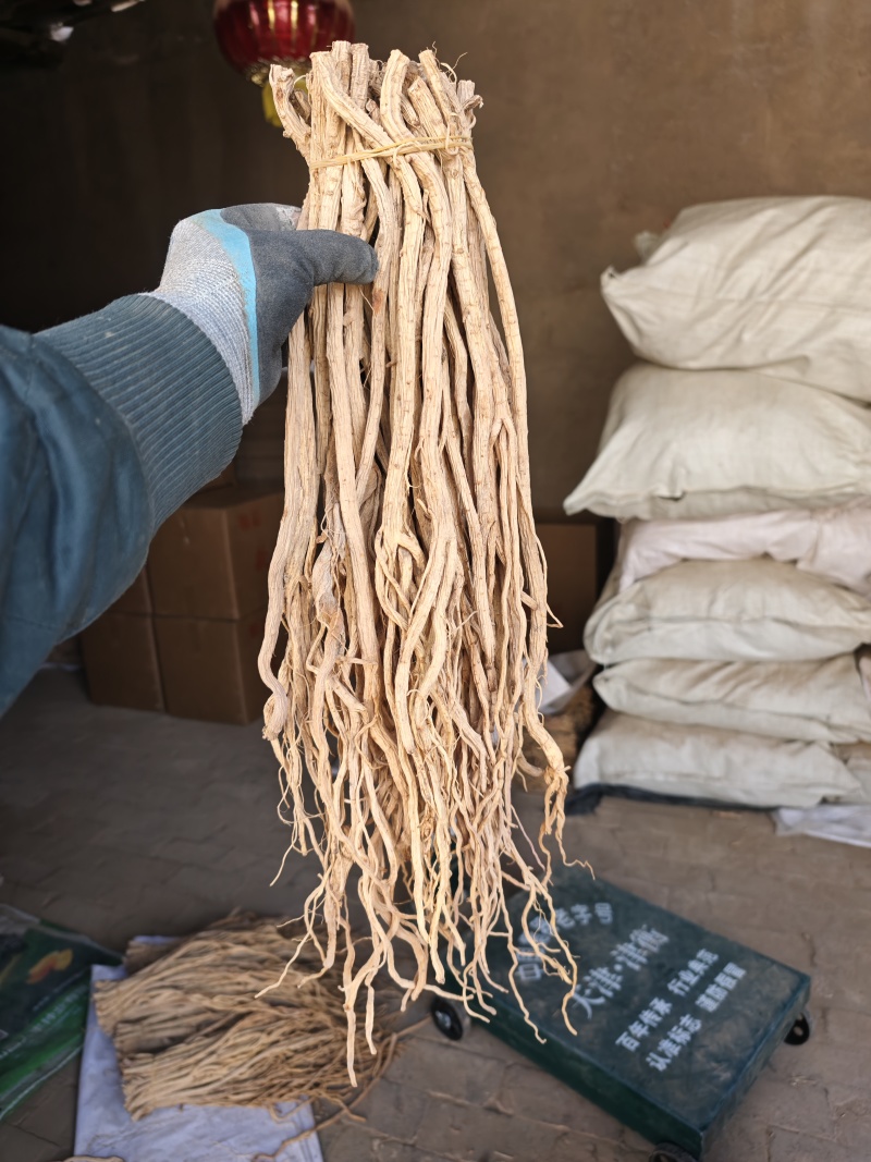 防风规格齐全品种齐全基地直发保质保量量大优惠