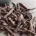 广西野生牛大力：黑牛