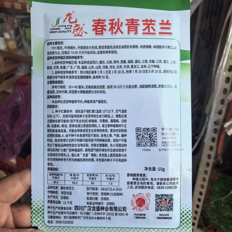 龙盛青培兰种子质脆味甜皮薄无纤维培兰种籽农家菜园基地用种