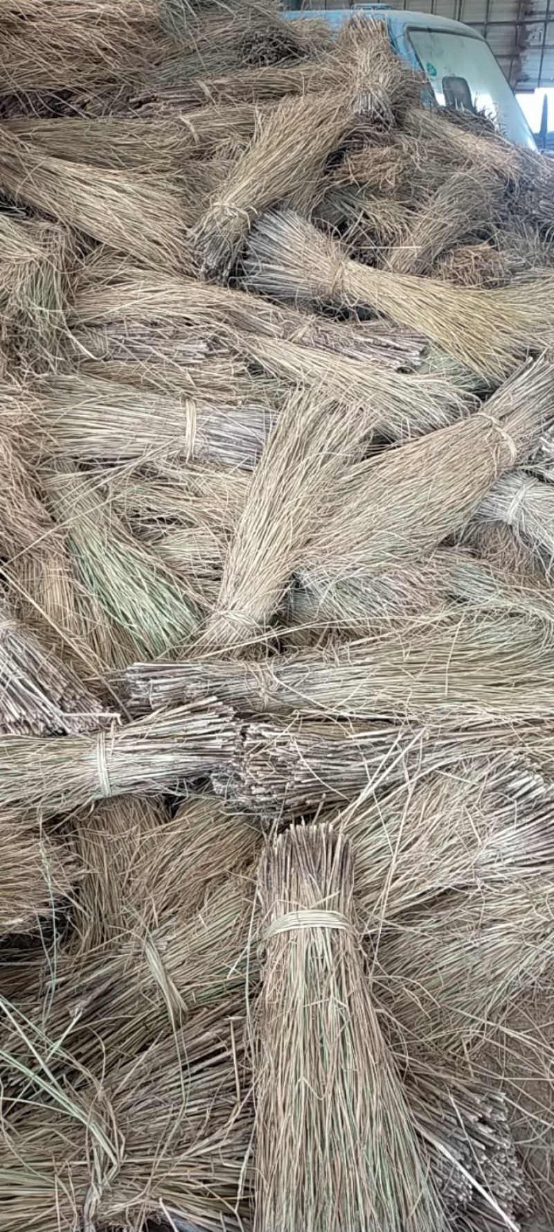 今年新鲜稻草