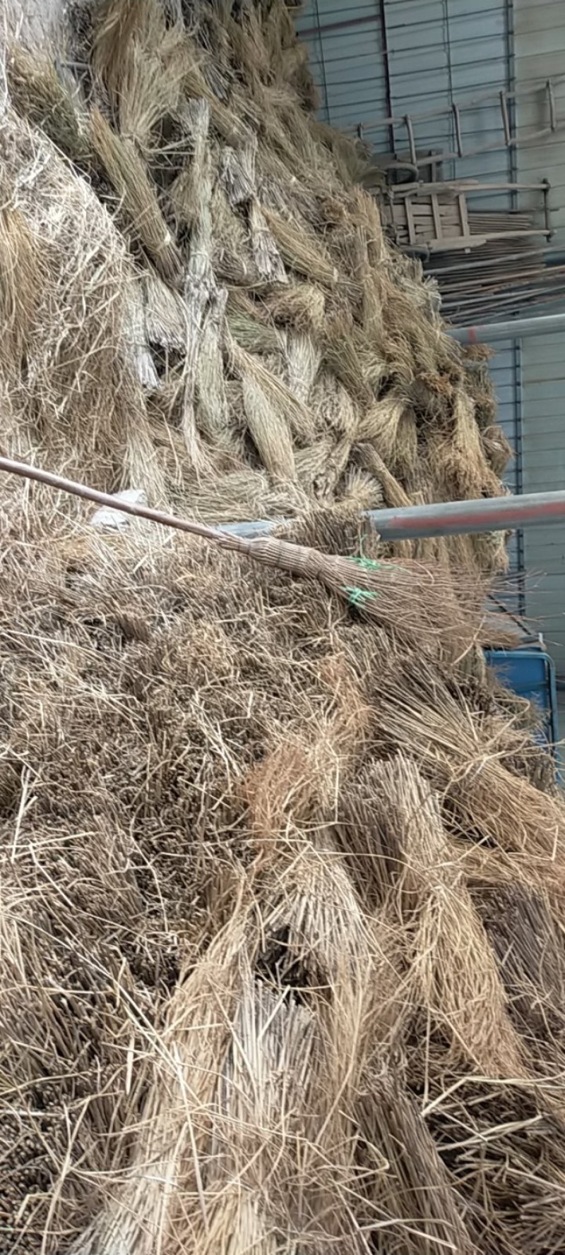 今年新鲜稻草