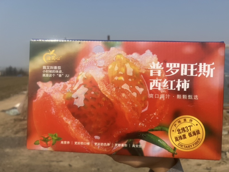 西红柿🍅普罗旺斯品质优价格优势服务理念诚信